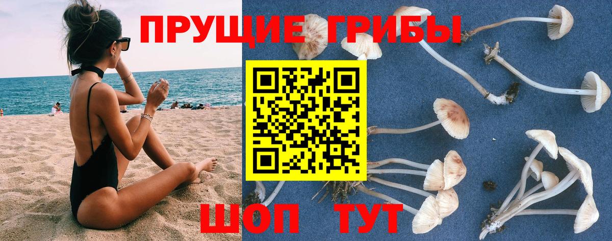 Псилоцибиновые грибы Psilocybine cubensis  Вход с VPN  Псилоцибиновые грибы MAGIC MUSHROOMS  Нижневартовск 